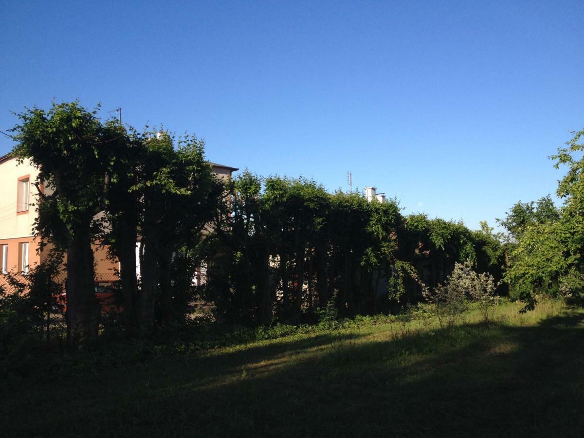 Mamrowisko Villa Węgorzewo Dış mekan fotoğraf